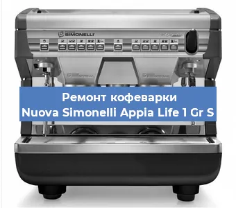 Замена фильтра на кофемашине Nuova Simonelli Appia Life 1 Gr S в Челябинске